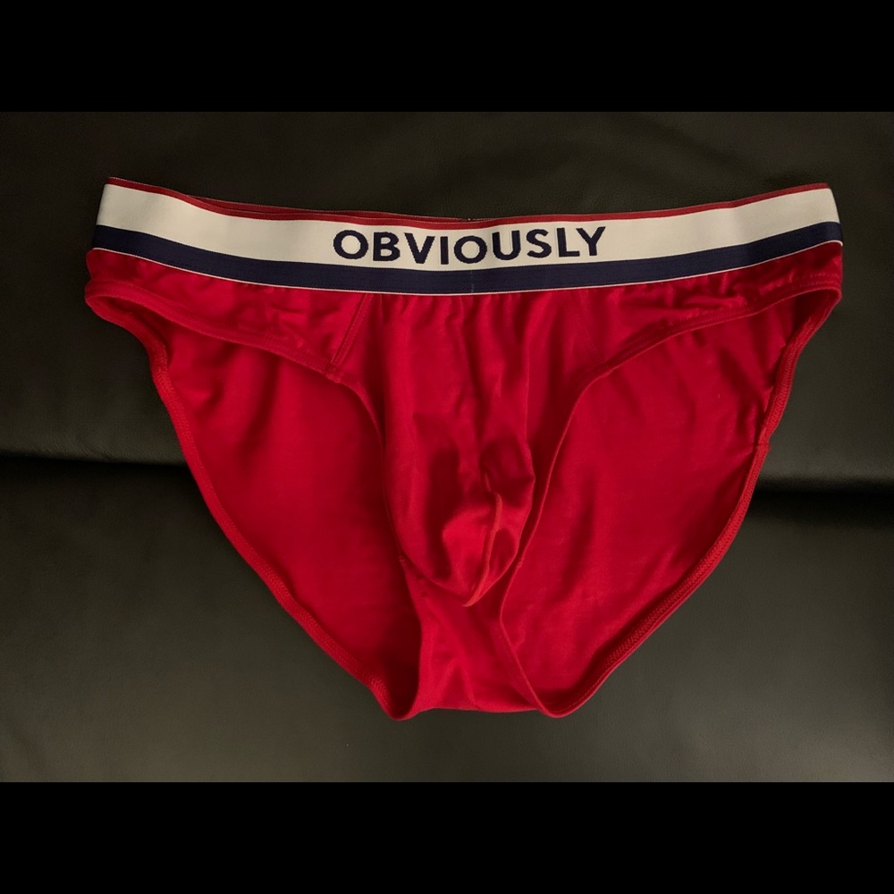 Obviously Underwear Brief (M)